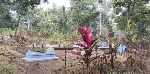 Tidak Terawat, Begini Potret Makam Para Pejuang Indonesia Terbengkalai