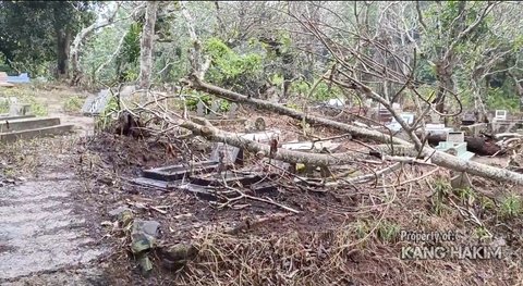 Tidak Terawat, Begini Potret Makam Para Pejuang Indonesia Terbengkalai