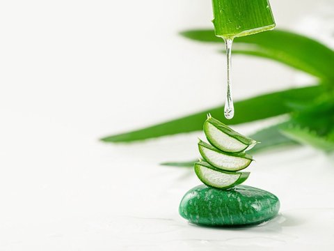 Rasakan Manfaatnya, Ini Cara Pakai Lidah Buaya untuk Rambut/Canva.com.