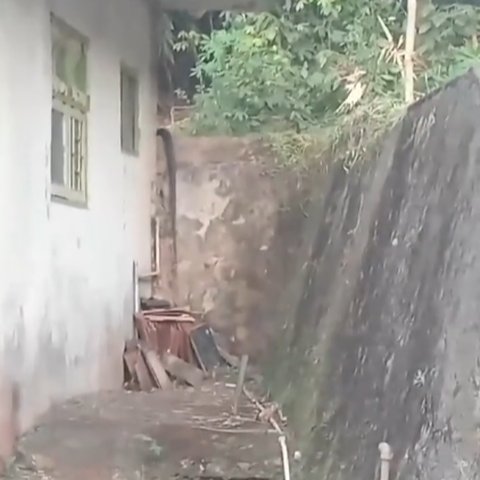 Viral Kemunculan King Kobra Sepanjang 5 Meter di Depan Rumah Warga di Kuningan, Begini Penampakannya