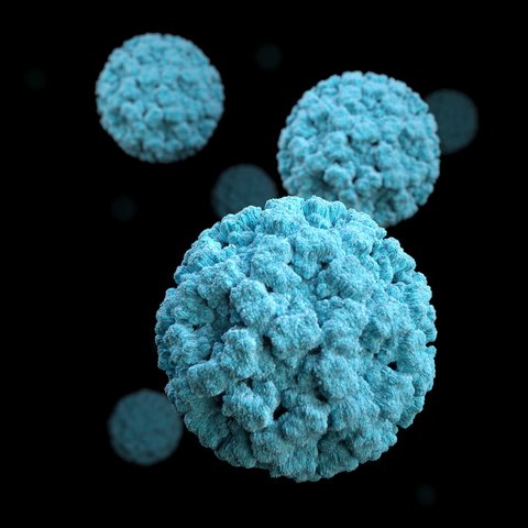 Ilustrasi virus. (Unsplash)