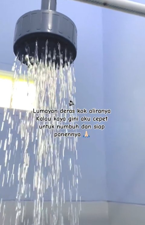 Unik dan Kreatif, Pria yang Berhasil Buatkan Shower dari Paralon untuk Istrinya Ini Curi Perhatian