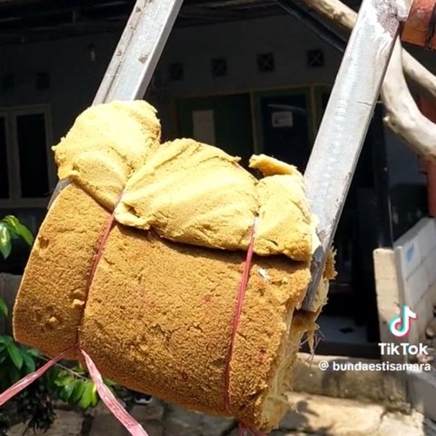 Viral Wanita Ungkap Rahasia Dibalik Orang &lsquo;Ditusuk&rsquo; Bambu Runcing saat Karnaval, Begini Caranya