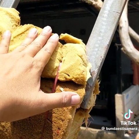 Viral Wanita Ungkap Rahasia Dibalik Orang &lsquo;Ditusuk&rsquo; Bambu Runcing saat Karnaval, Begini Caranya