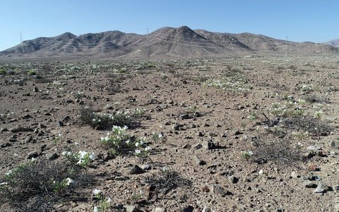 Bukan Gurun Sahara, Ini Tempat Paling Gersang di Dunia yang Tak Pernah Diguyur Hujan Selama 200 Juta Tahun