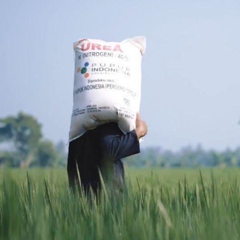 Pupuk Subsidi