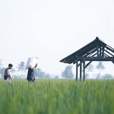 Pupuk Subsidi