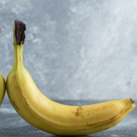 Ilustrasi Penis