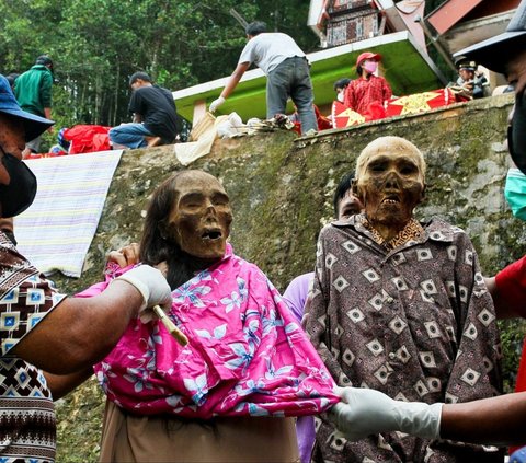 Masyarakat Tana Toraja percaya, bahwa jika ritual Ma'nene tidak dilakukan sebelum masa panen, maka sawah-sawah dan ladang mereka akan gagal panen dengan banyak hama tikus dan ulat yang menyerang tiba-tiba. Foto: IDRIES / AFP