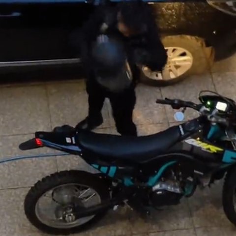 Momen Ibu sambut Anaknya Pulang