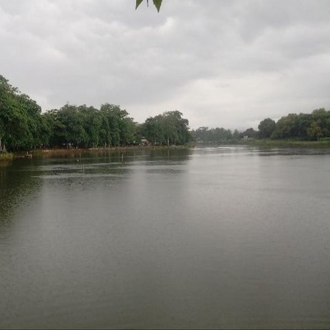 Situ Cikaret Cibinong
