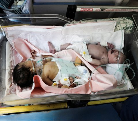 FOTO: Potret Pilu Bayi-Bayi Prematur Terdesak Serangan Israel di Jalur Gaza