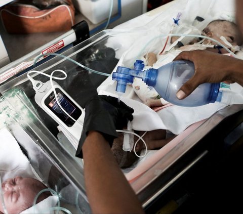 FOTO: Potret Pilu Bayi-Bayi Prematur Terdesak Serangan Israel di Jalur Gaza