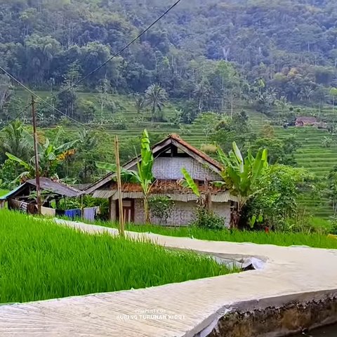 Kampung Cipancur Tasikmalaya yang indah