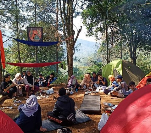 The Excitement of Climbing Mountains While Learning About Nature Together with the Mountaineering Community