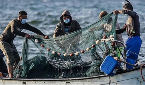 Ikan Pesut Berenang ke Arah Selatan