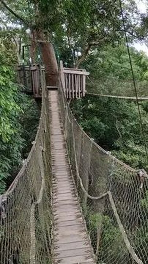 5 Tempat Wisata Penajam Paser Utara yang Wajib Dikunjungi saat ke IKN, Ada Air Terjun hingga Pantai