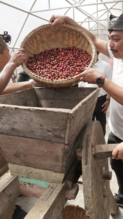 Angkat Kopi Rakyat, Banyuwangi Gelar Festival Kopi Kalibaru