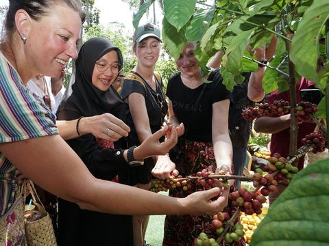 Angkat Kopi Rakyat, Banyuwangi Gelar Festival Kopi Kalibaru