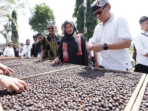 Angkat Kopi Rakyat, Banyuwangi Gelar Festival Kopi Kalibaru