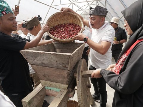 Angkat Kopi Rakyat, Banyuwangi Gelar Festival Kopi Kalibaru