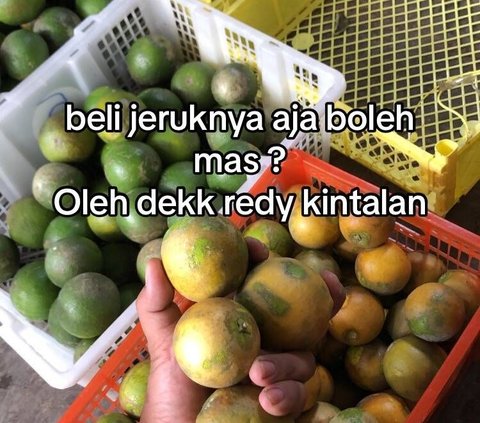 Modal Rp 4 Juta, Pemuda Ini Sukses Buka Usaha Minuman Es Jeruk hingga Habiskan 1,5 Kuintal Jeruk/bulan