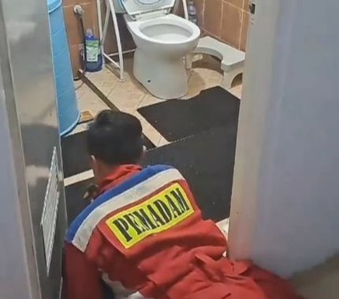 Viral Aksi Pemadam Kebakaran Keluarkan Ular Piton di Dalam Lubang WC, Bikin Warganet Deg-degan