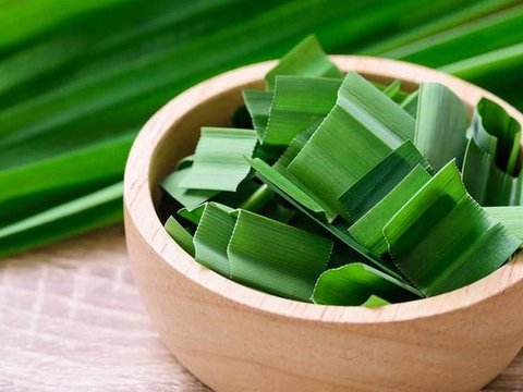 Manfaat Mengonsumsi Daun Pandan<br>