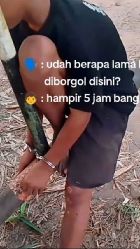 Tega Banget! Mandor Perusahaan Borgol Bocah Ambil Brondolan Sawit Sampai 5 Jam Tak Dilepas, ini Potretnya