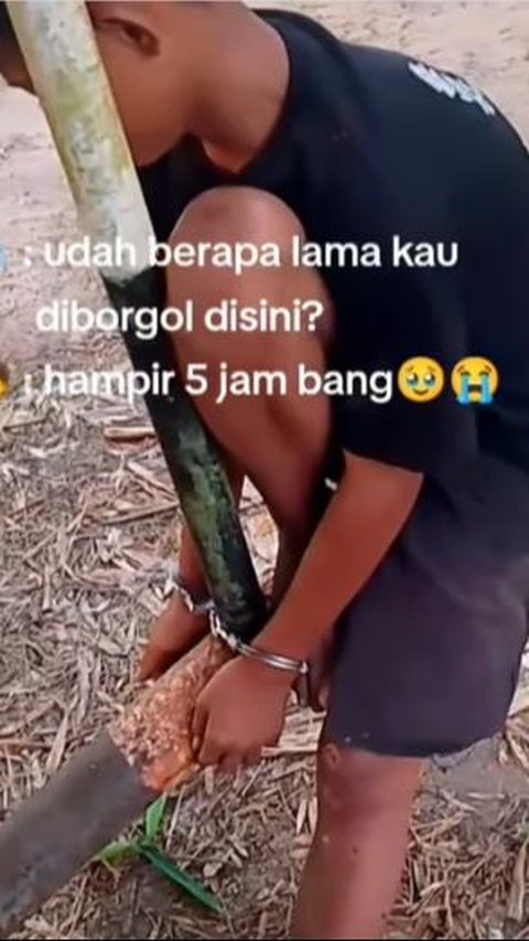 Tega Banget! Mandor Perusahaan Borgol Bocah Ambil Brondolan Sawit Sampai 5 Jam Tak Dilepas, ini Potretnya