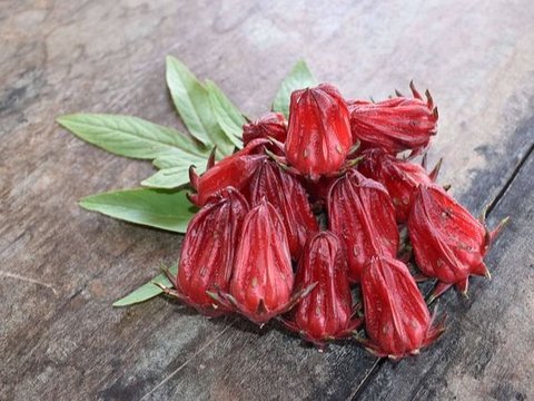 bunga rosella