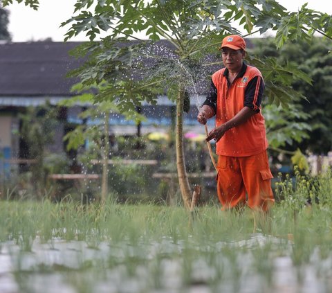 Mengunjungi Cipayung Edufarm, Ajak Warga Jakarta Belajar Jadi Petani