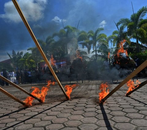 FOTO: Penampakan 1,2 Ton Ganja dan Ratusan Kilogram Sabu yang Dimusnahkan Polda Aceh