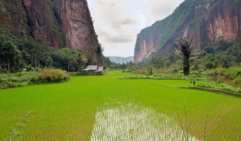 1. Lembah Harau