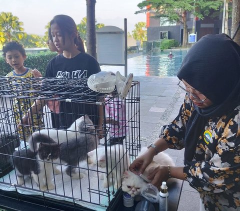 Viral Landlord Eats Cat Meat for Diabetes Medicine, Cat Lovers Community Urges Public Education