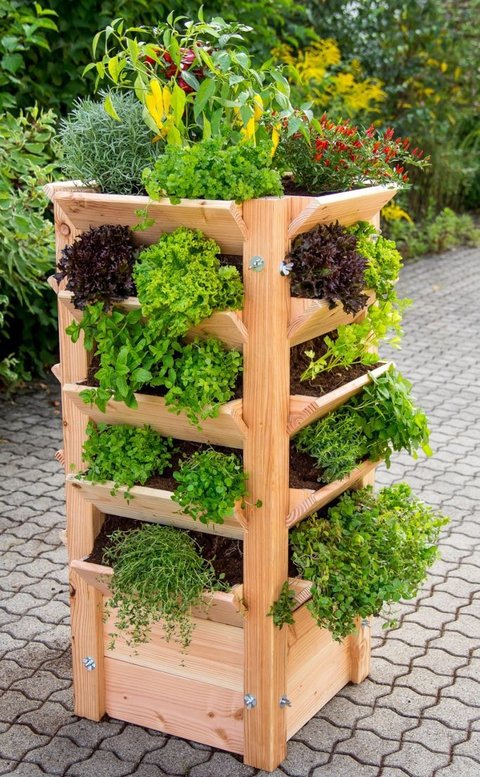 Desain Taman Toga