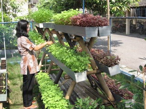 8 Inspirasi Desain Taman Toga Minimalis yang Cantik dan Bikin Badan Lebih Sehat