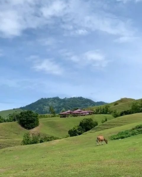 Pria Ini Perlihatkan Sekolah Dasar di Toraja dengan View Indah Disekitarnya, Bikin Warganet Takjub