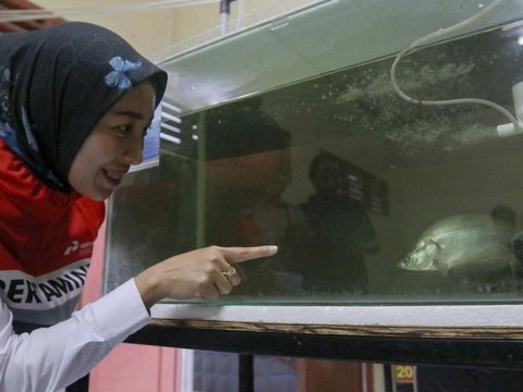 FOTO: Mengunjungi Pusat Konservasi Ikan Belida Terancam Punah di Palembang