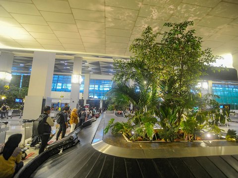 FOTO: Wujudkan Konsep Green Airport, Begini Penampakan Bandara Soekarno-Hatta Dihiasi Pepohonan