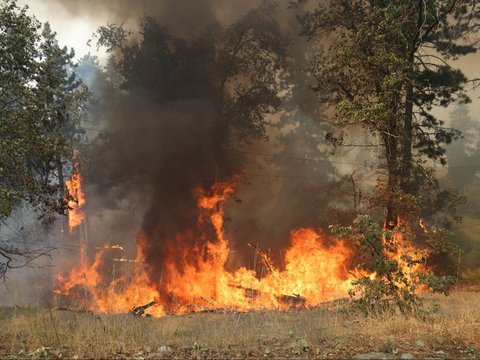 FOTO: Ekstremnya Gelombang Panas di Amerika Serikat, Amukan Kebakaran Hutan Hancurkan Resor Ski