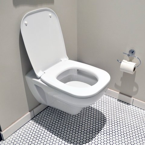 toilet