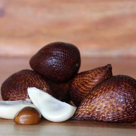 Ilustrasi Kunyit (freepik/wirestock)