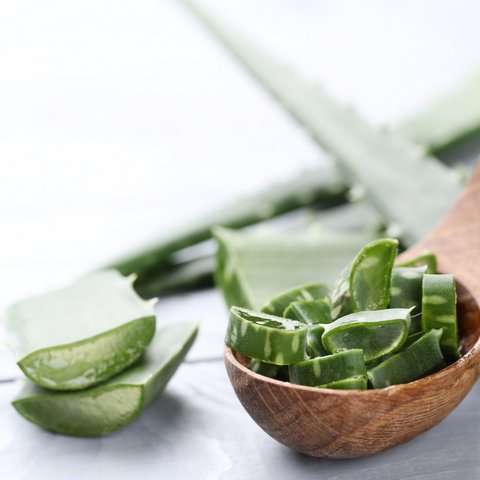 aloe vera
