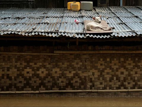 FOTO: Terjangan Topan Yagi Picu Banjir Dahsyat di Myanmar, Warga Dievakuasi Pakai Perahu hingga Ember