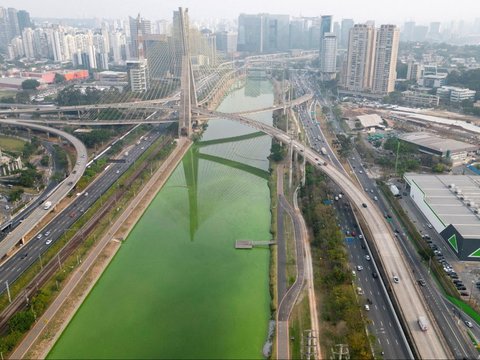 FOTO: Heboh Sungai Utama di Sao Paulo Brasil Tiba-Tiba Menghijau, Ternyata Ini Penyebabnya