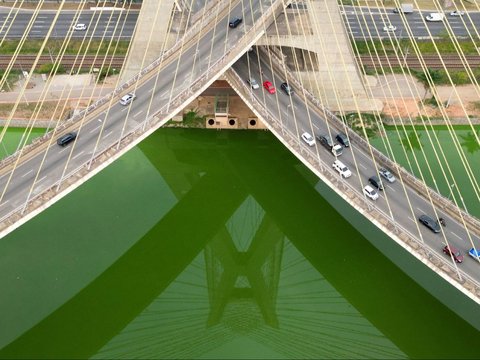 FOTO: Heboh Sungai Utama di Sao Paulo Brasil Tiba-Tiba Menghijau, Ternyata Ini Penyebabnya