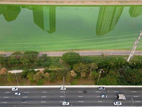 FOTO: Heboh Sungai Utama di Sao Paulo Brasil Tiba-Tiba Menghijau, Ternyata Ini Penyebabnya