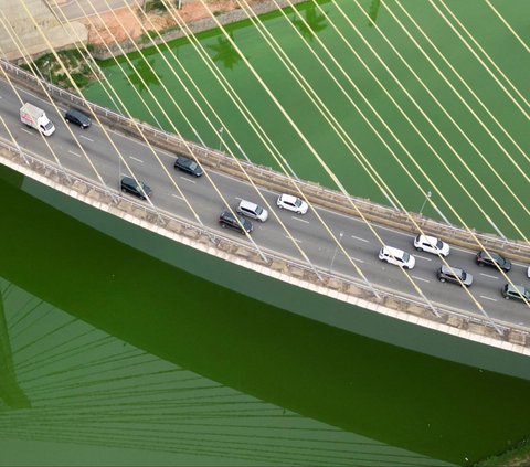 FOTO: Heboh Sungai Utama di Sao Paulo Brasil Tiba-Tiba Menghijau, Ternyata Ini Penyebabnya