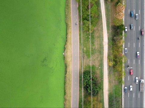 FOTO: Heboh Sungai Utama di Sao Paulo Brasil Tiba-Tiba Menghijau, Ternyata Ini Penyebabnya